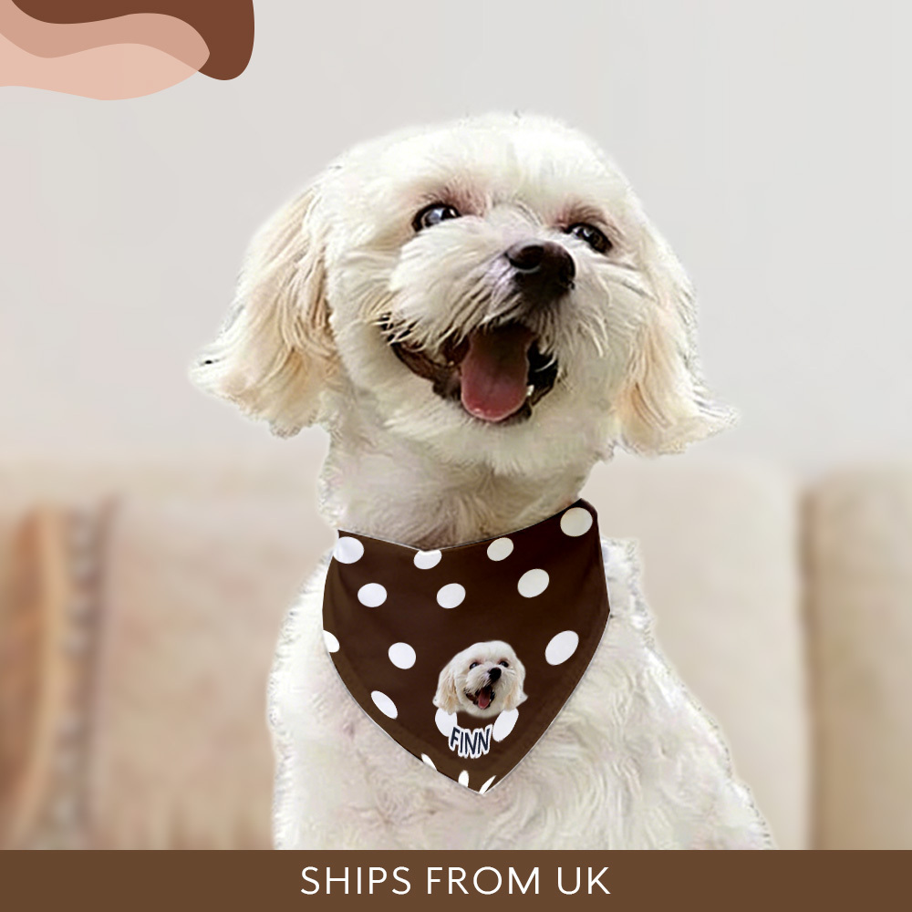 Custom Dog Bandana with Collar Using Pet Photo + Name Pet Scarf Customised Cat Bandana's for Dogs Personalized Name Personalised Bandana