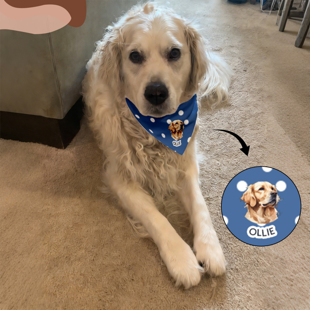 Custom Dog Bandana with Collar Using Pet Photo + Name Pet Scarf Customised Cat Bandana's for Dogs Personalized Name Personalised Bandana