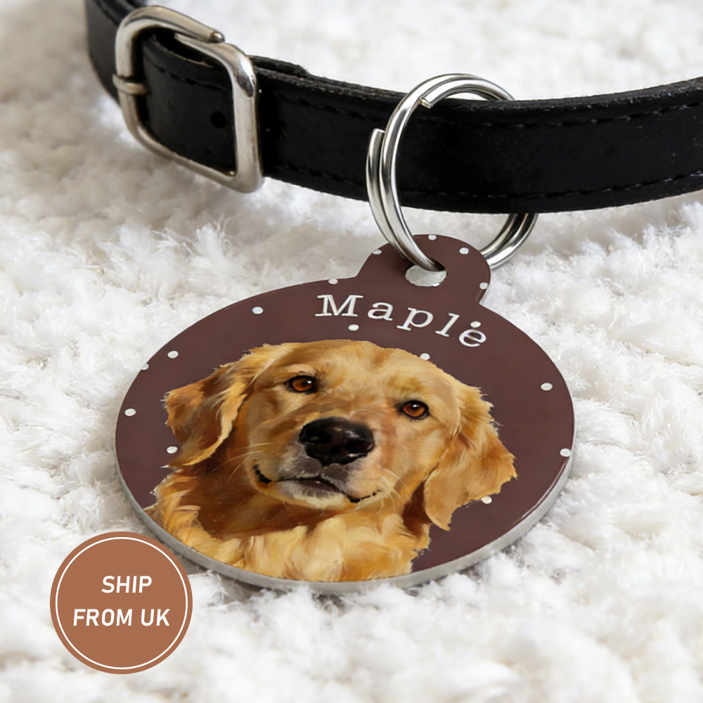 Personalized Pet Collar ID Tag with Photo and Name
