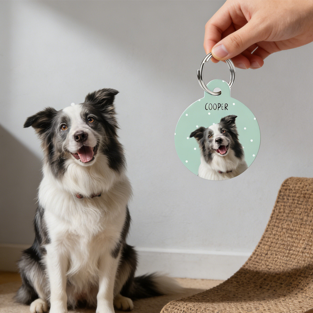 Collar Pet ID Tag Custom with Pet Photo and Name