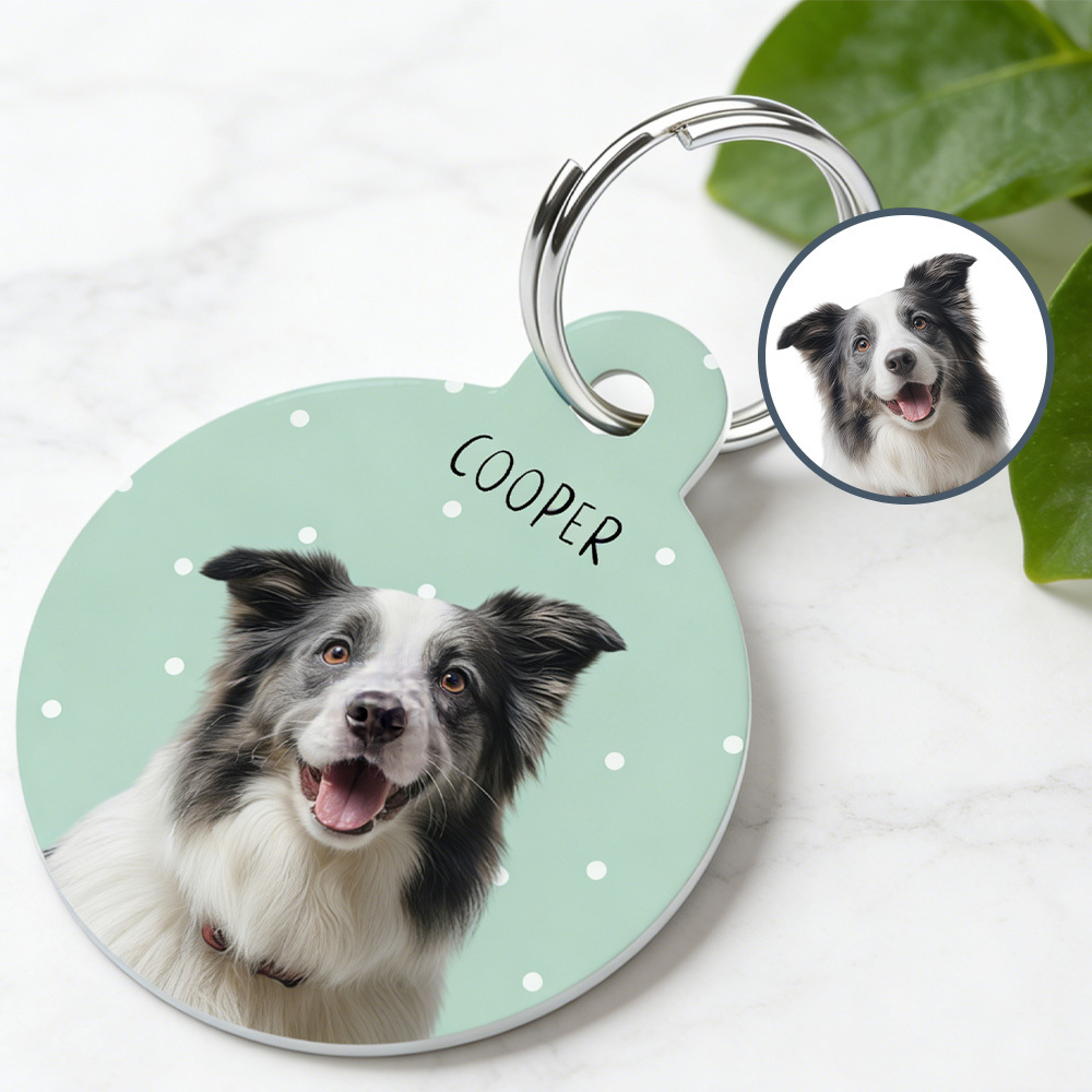Collar Pet ID Tag Custom with Pet Photo and Name