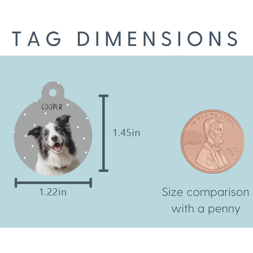 Collar Pet ID Tag Custom with Pet Photo and Name