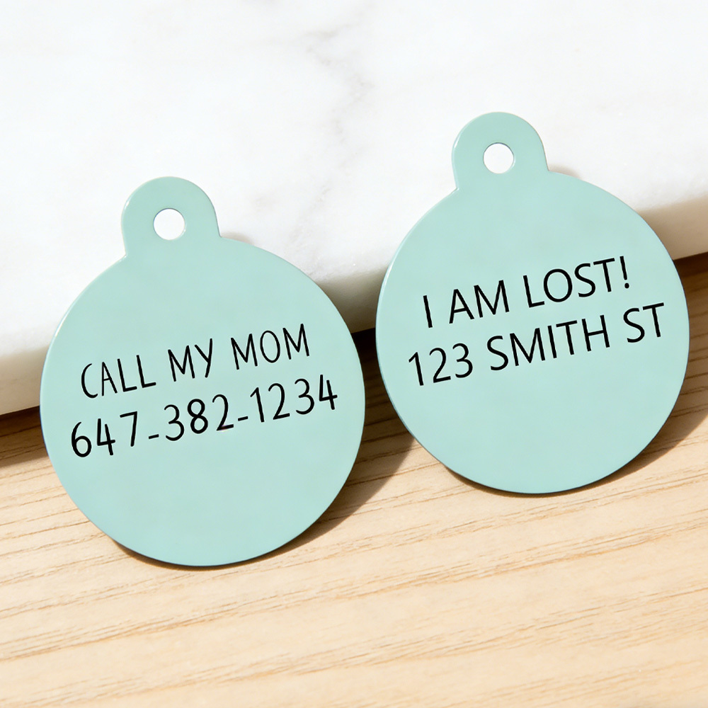 Collar Pet ID Tag Custom with Pet Photo and Name