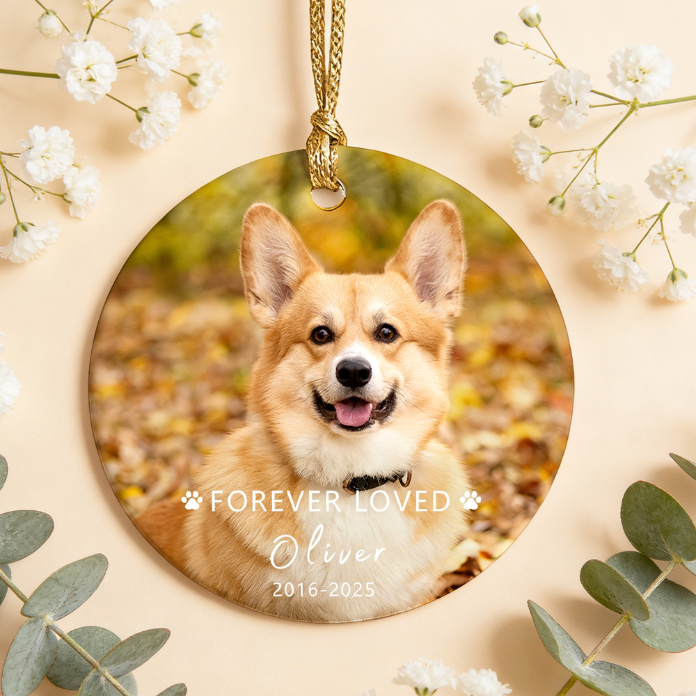 Personalized Christmas Pet Ornament with Photo and Name