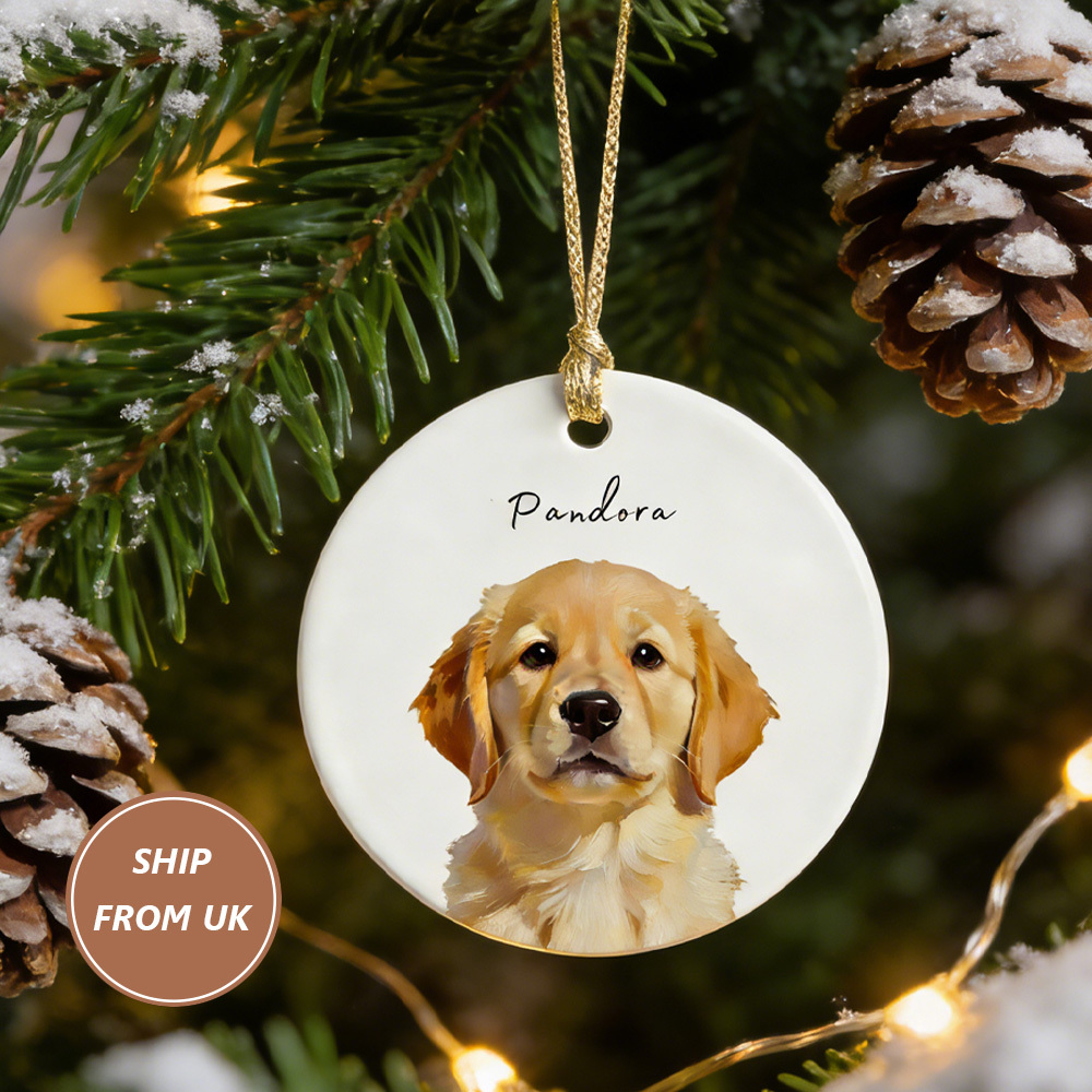 Personalized Pet Memorial Necklace with Photo & Name