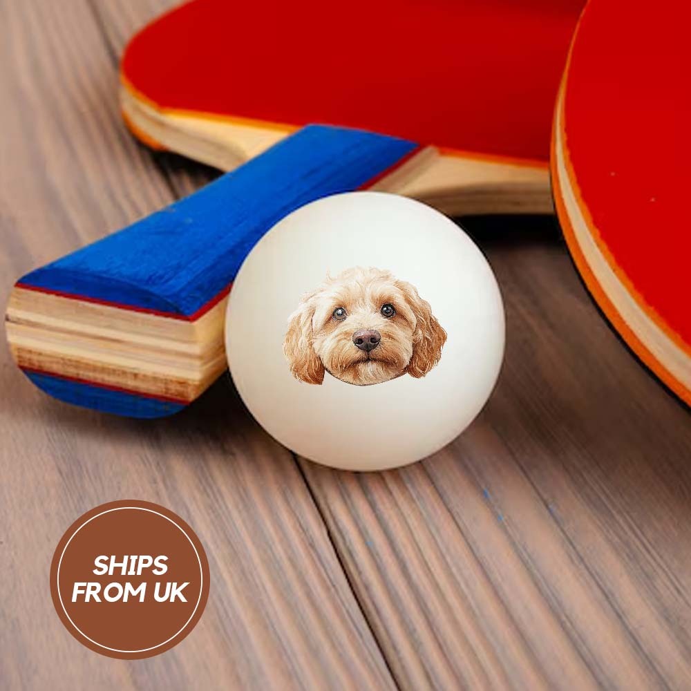 Personalized Pet Ping Pong Balls | Custom Photo Table Tennis/Beer Pong Ball - 6 Pack