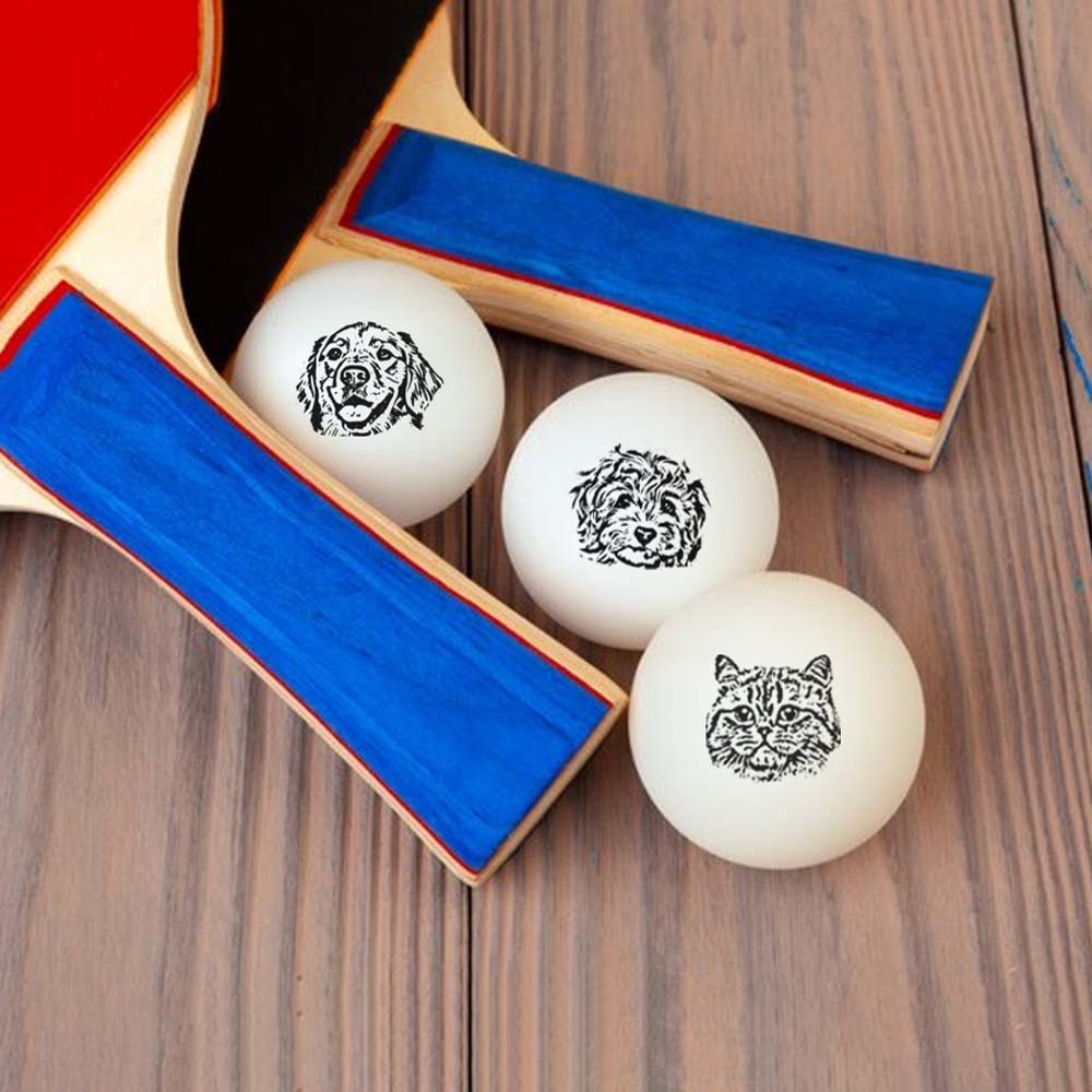 Custom Photo Table Tennis/Beer Pong Ball - 6 Pack |  Personalized Pet Ping Pong Balls