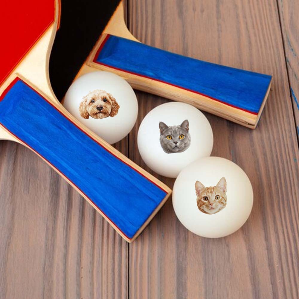 Personalized Pet Ping Pong Balls | Custom Photo Table Tennis/Beer Pong Ball - 6 Pack