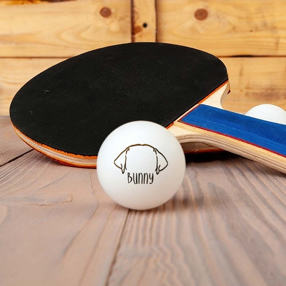 Custom Photo Table Tennis/Beer Pong Ball - 6 Pack |  Personalized Pet Ping Pong Balls