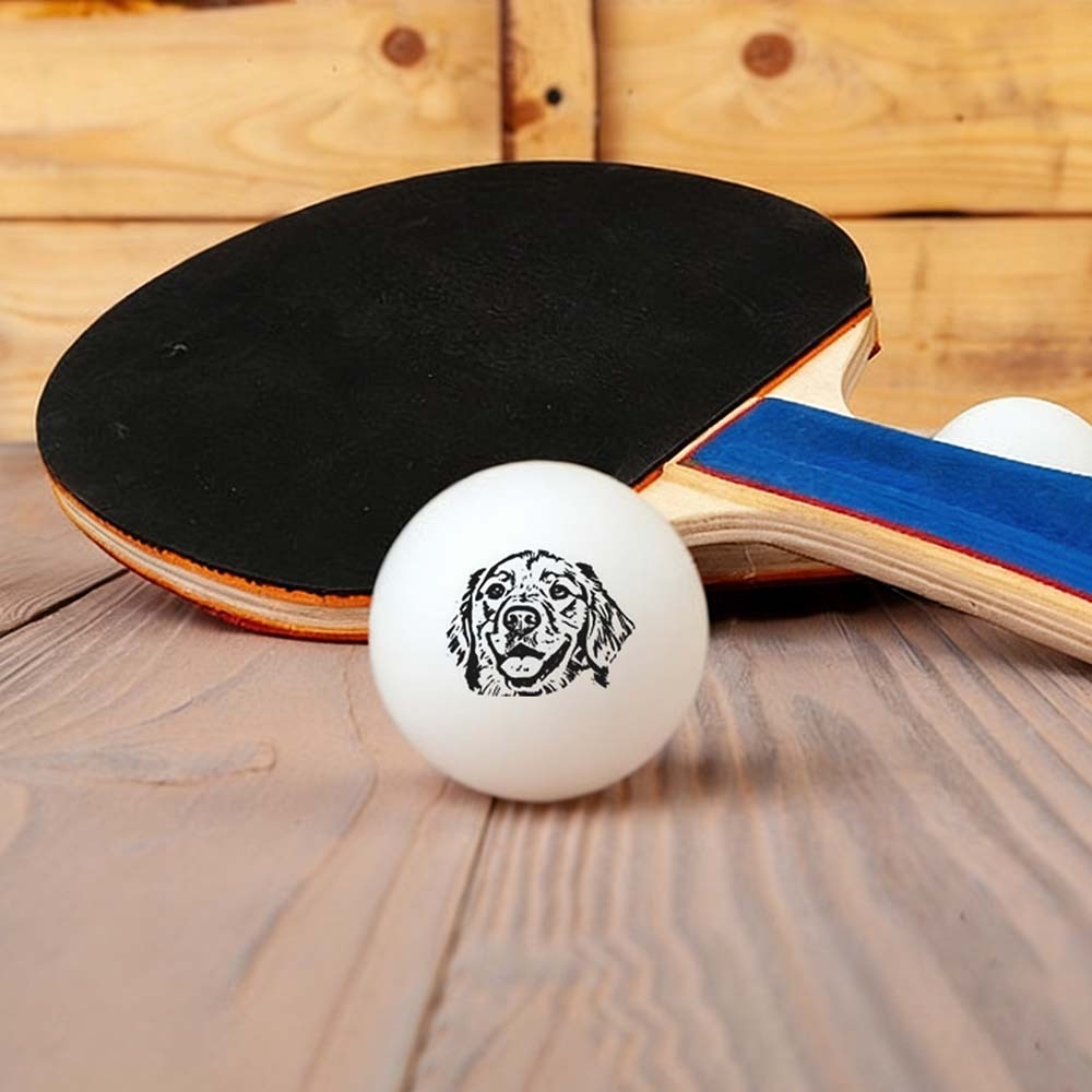 Custom Photo Table Tennis/Beer Pong Ball - 6 Pack |  Personalized Pet Ping Pong Balls