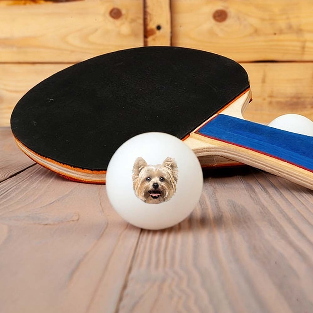 Personalized Pet Ping Pong Balls | Custom Photo Table Tennis/Beer Pong Ball - 6 Pack