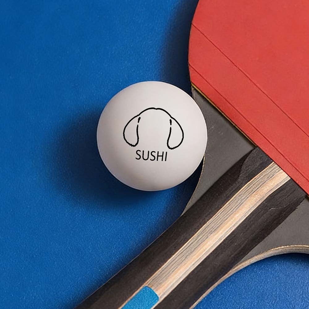 Custom Photo Table Tennis/Beer Pong Ball - 6 Pack |  Personalized Pet Ping Pong Balls