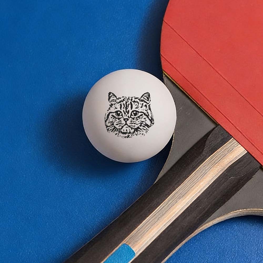 Custom Photo Table Tennis/Beer Pong Ball - 6 Pack |  Personalized Pet Ping Pong Balls