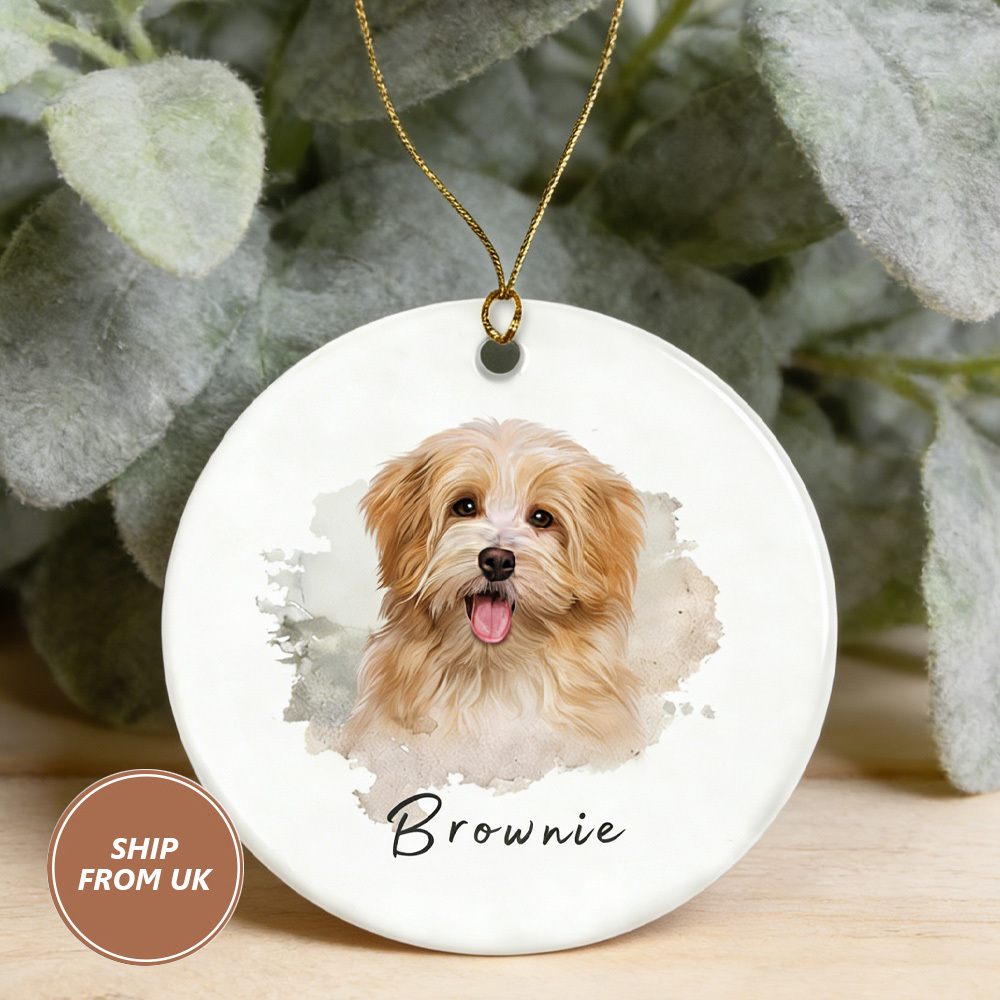 Personalized Pet Photo-Name Christmas Ornament