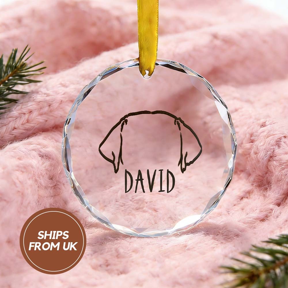 Personalized Cat Dog Holiday Keepsake Custom Pet Watercolor Acrylic Ornament from Photo with Name