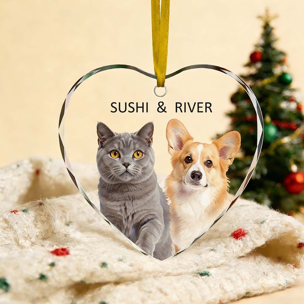 Custom Cat Heart-shaped Watercolor Acrylic Ornament  Personalized Pets Christmas Ornaments, Custom Keepsake