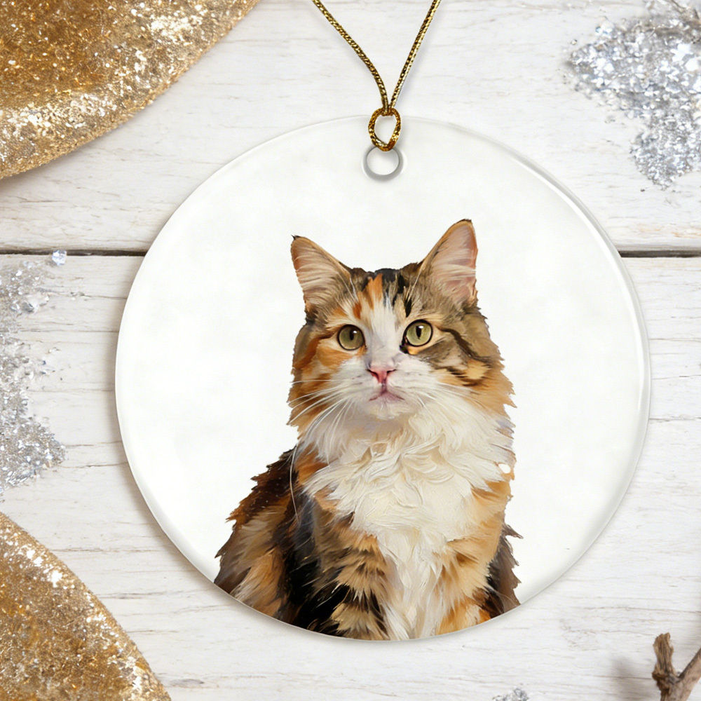 Pet Photo Christmas Ornament: Personalized Name Decor