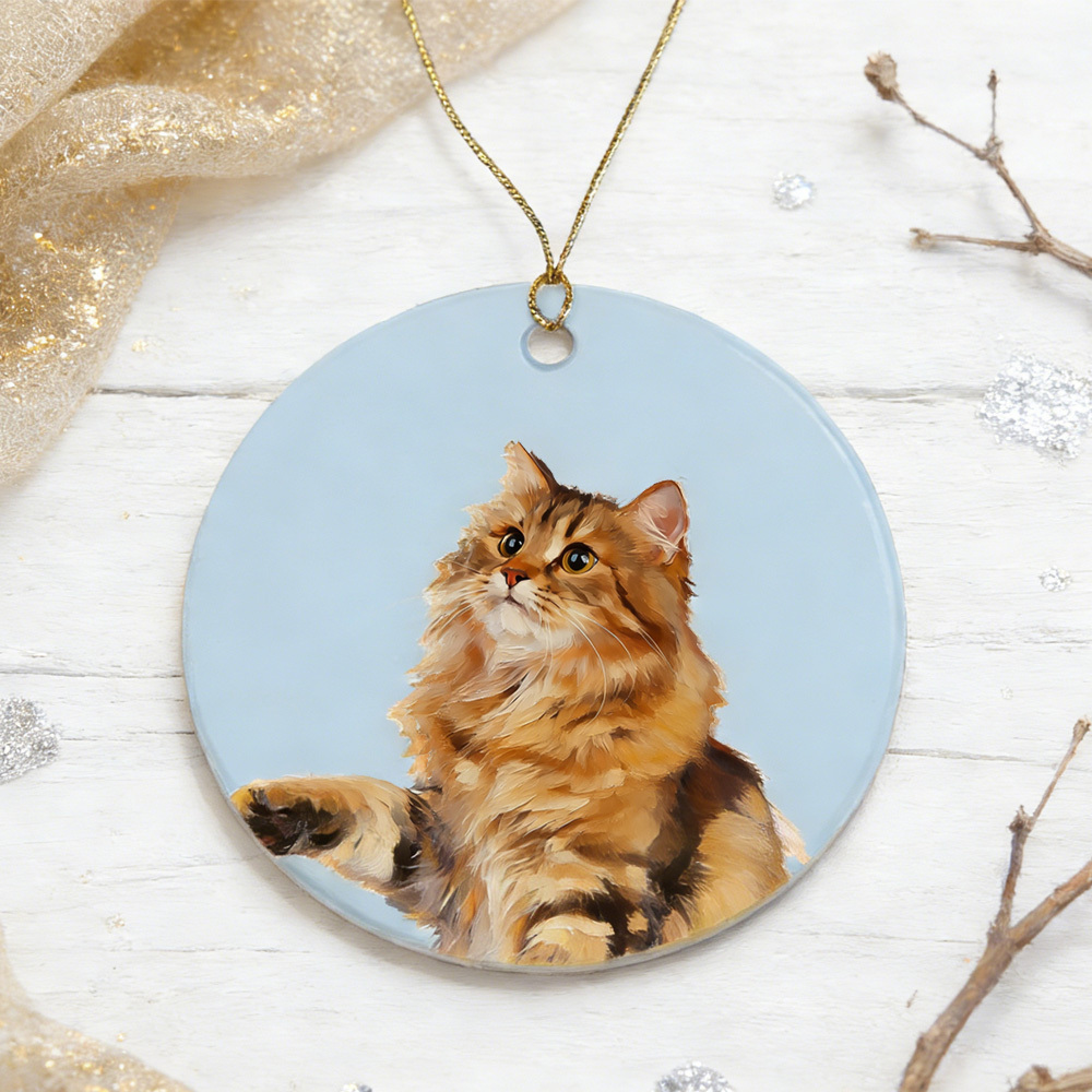 Pet Photo Christmas Ornament: Personalized Name Decor