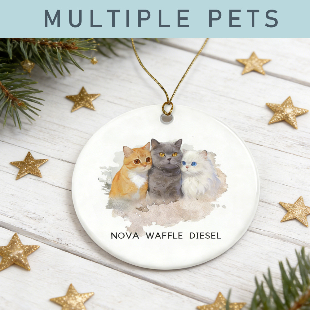 Personalized Pet Photo-Name Christmas Ornament