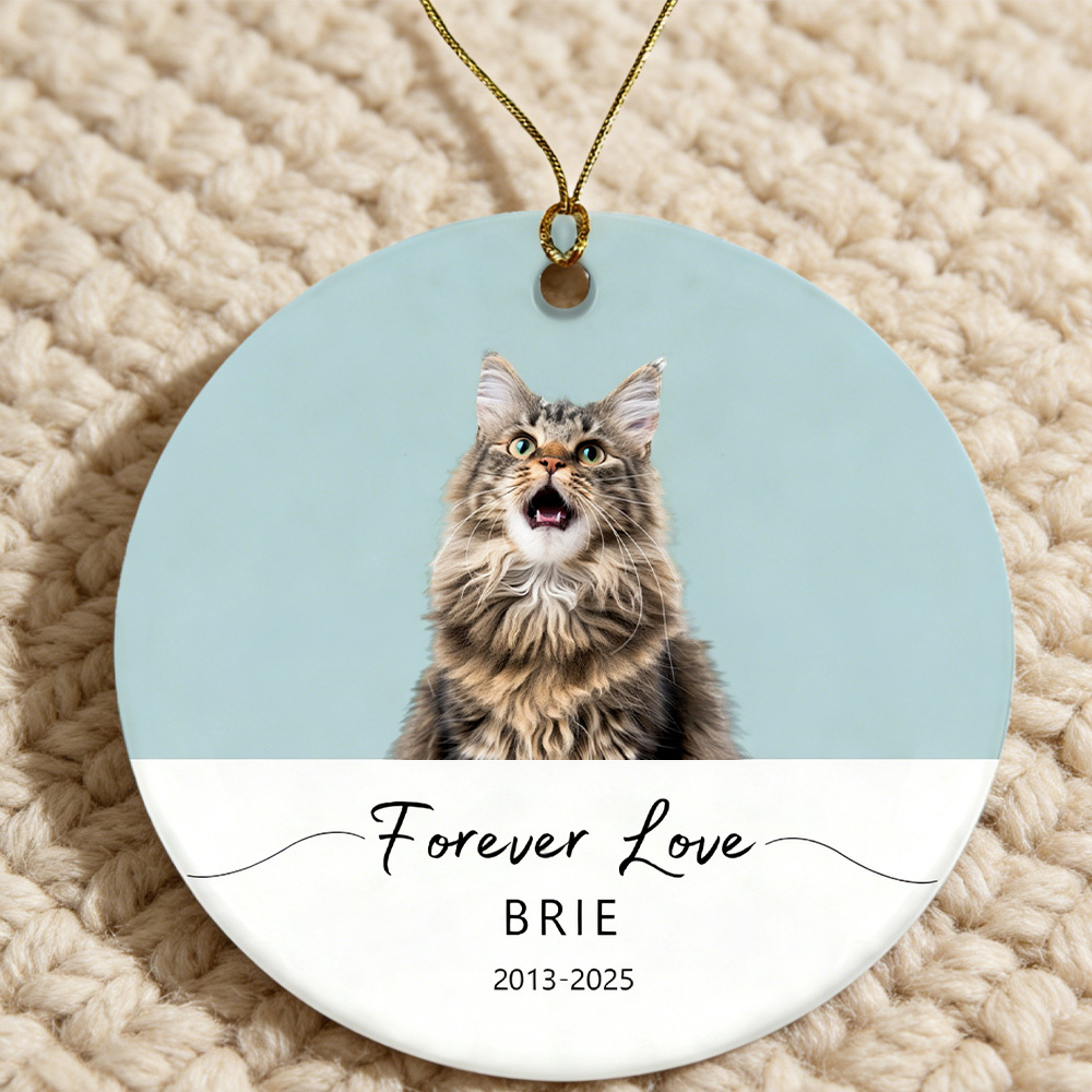 Personalized Pet Photo-Name Memorial Watercolor Ornament