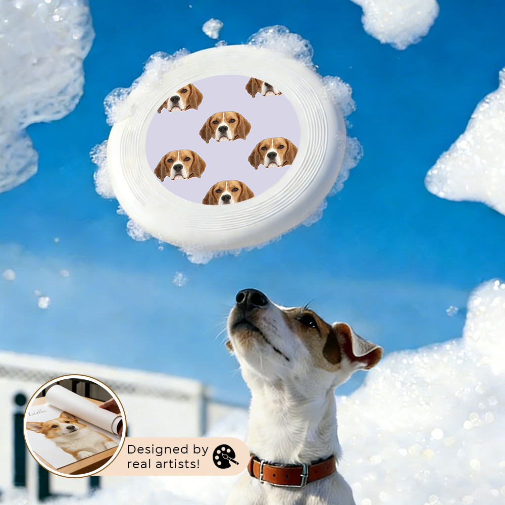 Personalized Dog Cat pet PE Disc: Adult Kids Outdoor Boomerang Toy