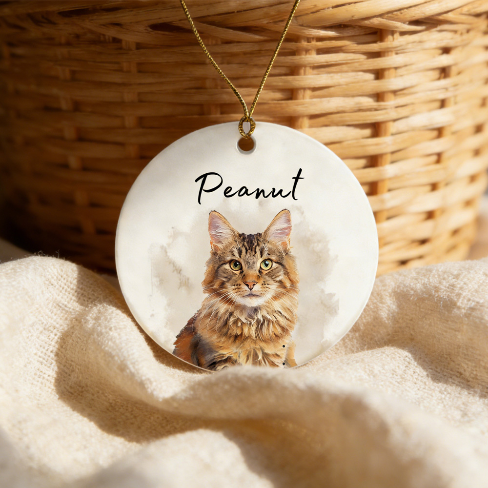  Pet ID Tags