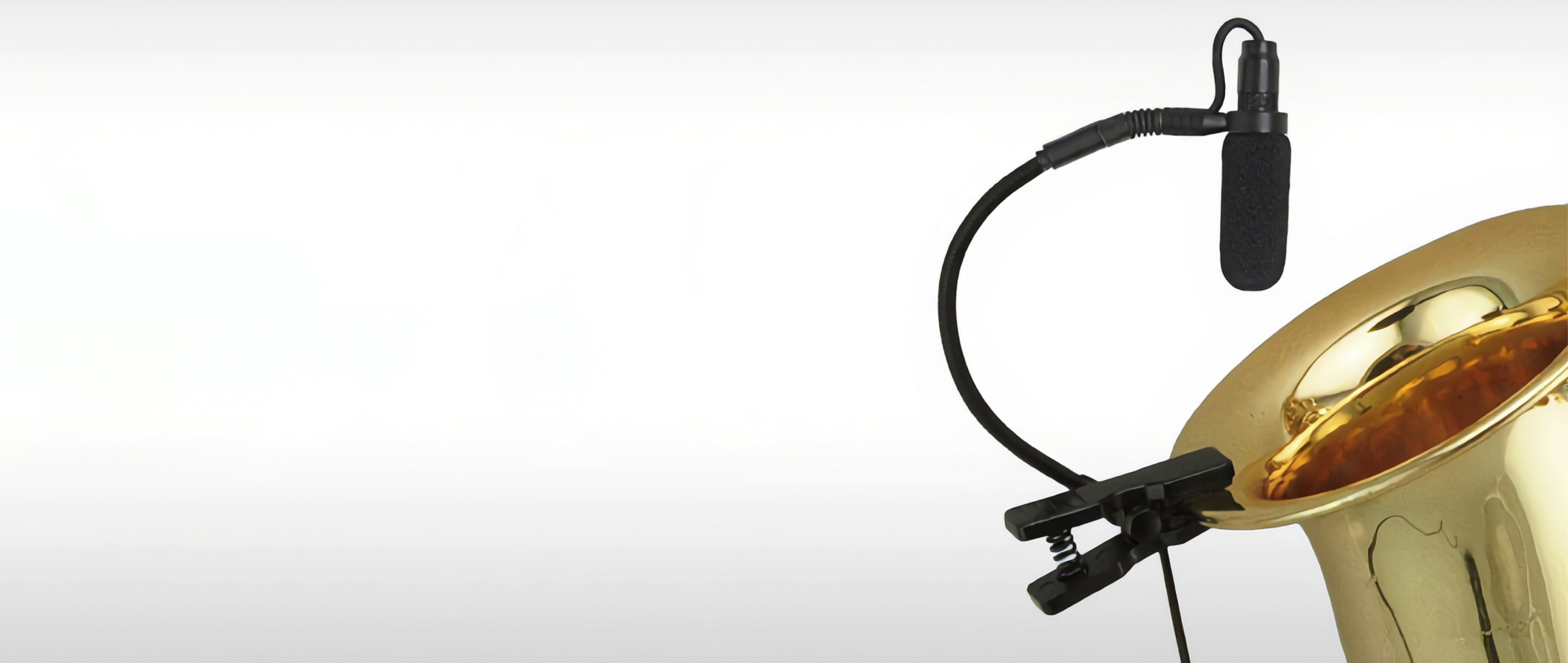 Instrument Microphone