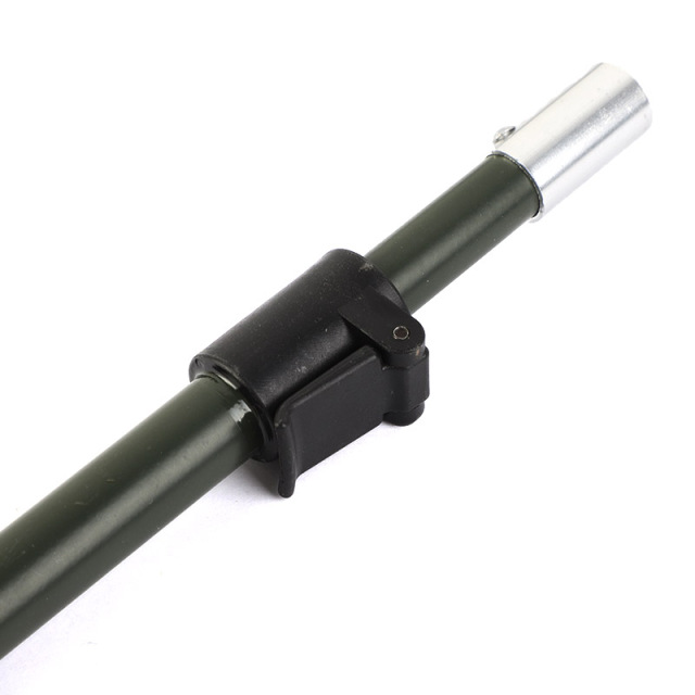 Spiral-tipped, green, thickened single bracket