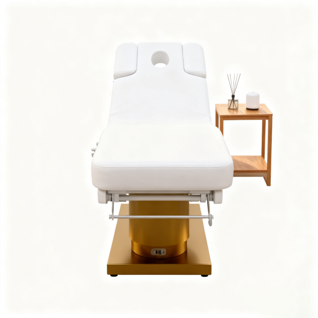 4 Motor Electric Beauty Bed for Facial and Spa Treatment DN0038_4 Motor Beds