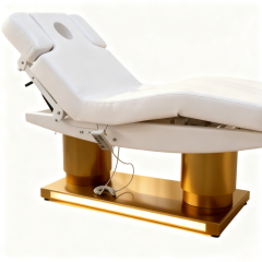 4 Motor Electric Beauty Bed for Facial and Spa Treatment DN0038_4 Motor Beds