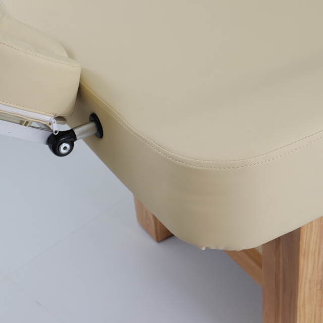 Basic Massage Bed for Spa and Beauty Treatment DN0045_Basic Beds