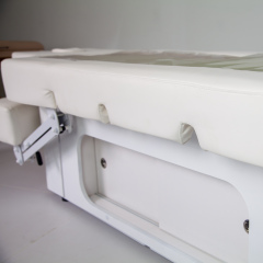 3 Motor Electric Beauty Bed for Professional Spa and Facial Treatment DN0048_3 Motor Beds