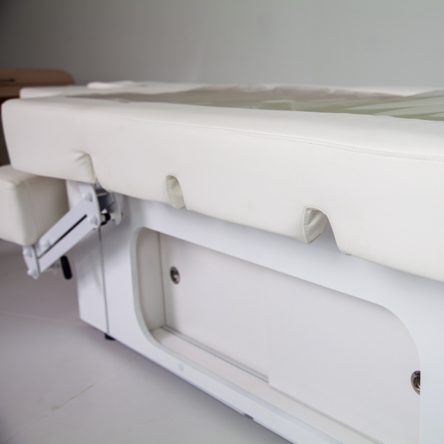 3 Motor Electric Beauty Bed for Professional Spa and Facial Treatment DN0048_3 Motor Beds
