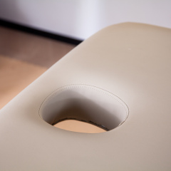 Portable Manual Beauty Bed for Home Spa and Massage Treatment DN0017_Manual Beds