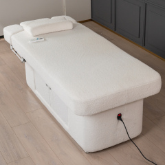 Plush 2 Motor Electric Beauty Bed for Salon and Spa Use DN0016_2 Motor Beds