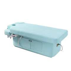 2 Motor Electric Beauty Bed with Adjustable Backrest and Leg Support for Salon Use DN0004_2 Motor Beds
