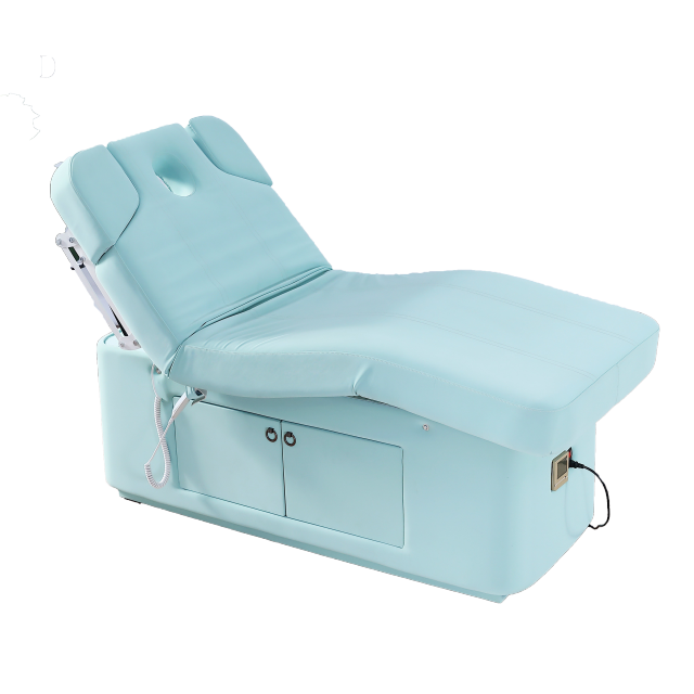 2 Motor Electric Beauty Bed with Adjustable Backrest and Leg Support for Salon Use DN0004_2 Motor Beds
