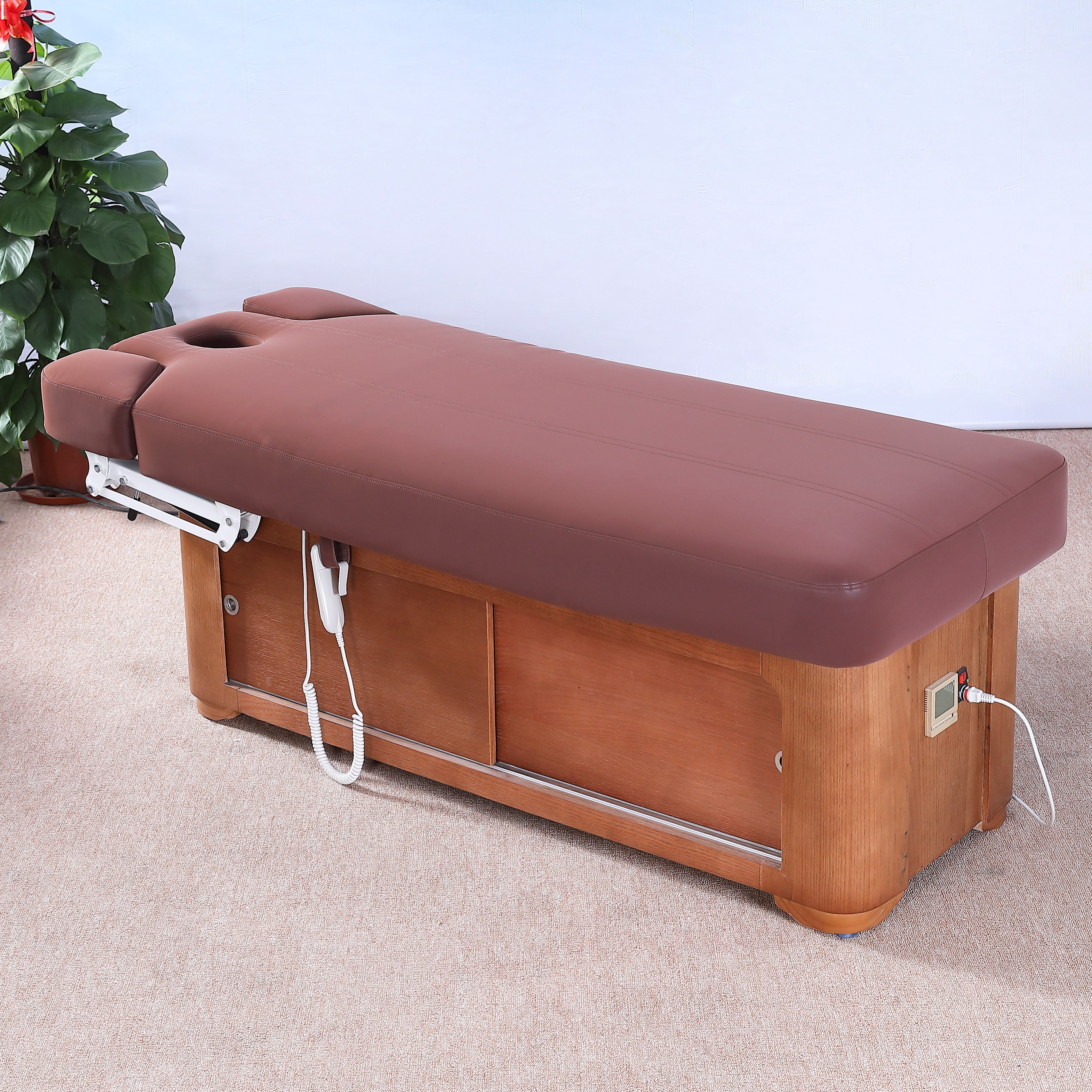 2 Motor Electric Beauty Bed for Facial and Spa Treatment DN0009_2 Motor Beds
