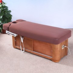 2 Motor Electric Beauty Bed for Facial and Spa Treatment DN0009_2 Motor Beds