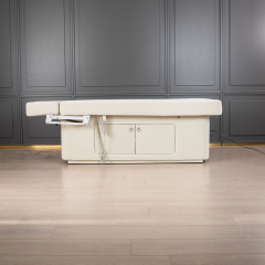 2 Motor Electric Beauty Bed with Adjustable Backrest and Leg Support for Salon Use DN0004_2 Motor Beds
