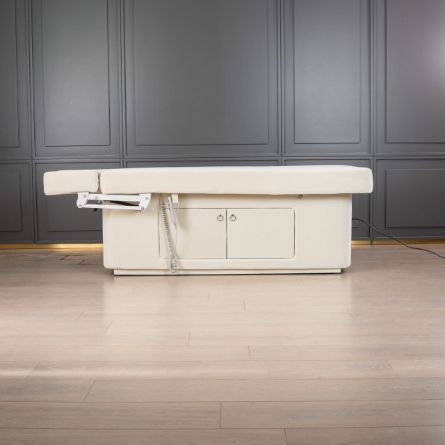 2 Motor Electric Beauty Bed with Adjustable Backrest and Leg Support for Salon Use DN0004_2 Motor Beds