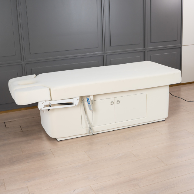 2 Motor Electric Beauty Bed with Adjustable Backrest and Leg Support for Salon Use DN0004_2 Motor Beds