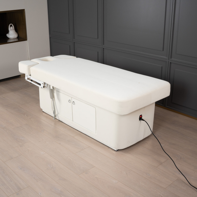 2 Motor Electric Beauty Bed with Adjustable Backrest and Leg Support for Salon Use DN0004_2 Motor Beds