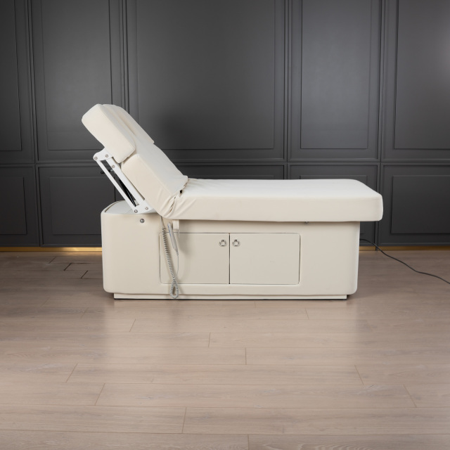 2 Motor Electric Beauty Bed with Adjustable Backrest and Leg Support for Salon Use DN0004_2 Motor Beds