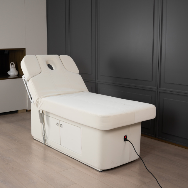 2 Motor Electric Beauty Bed with Adjustable Backrest and Leg Support for Salon Use DN0004_2 Motor Beds