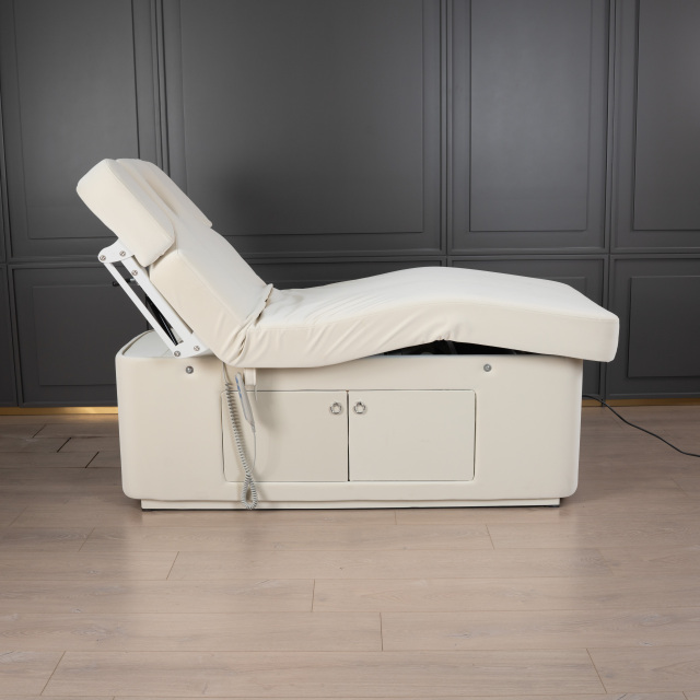 2 Motor Electric Beauty Bed with Adjustable Backrest and Leg Support for Salon Use DN0004_2 Motor Beds