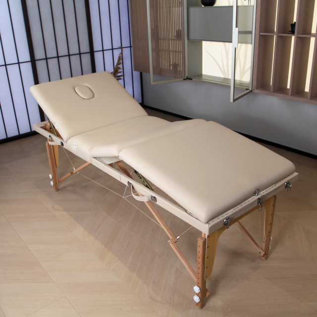 Foldable Massage Bed for Spa and Physical Therapy Use DN0049_Foldable Beds