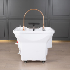 Beauty Parlour Shampoo Sink with Basin for Salon Wash Station DN0059_Shampoo Sinks