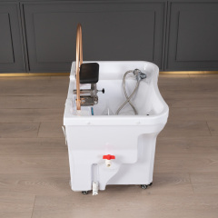 Beauty Parlour Shampoo Sink with Basin for Salon Wash Station DN0059_Shampoo Sinks