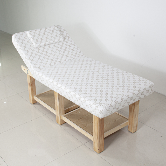 Portable Manual Beauty Bed with Hydraulic Backrest for Spa Treatment DN0266_Manual Beds